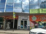 Family school (50 let VLKSM Street, 16И), foreign language courses