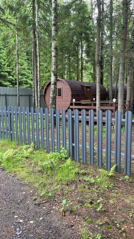 Фото Elki в Новожилово