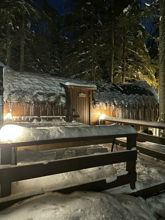 Фото Elki в Новожилово