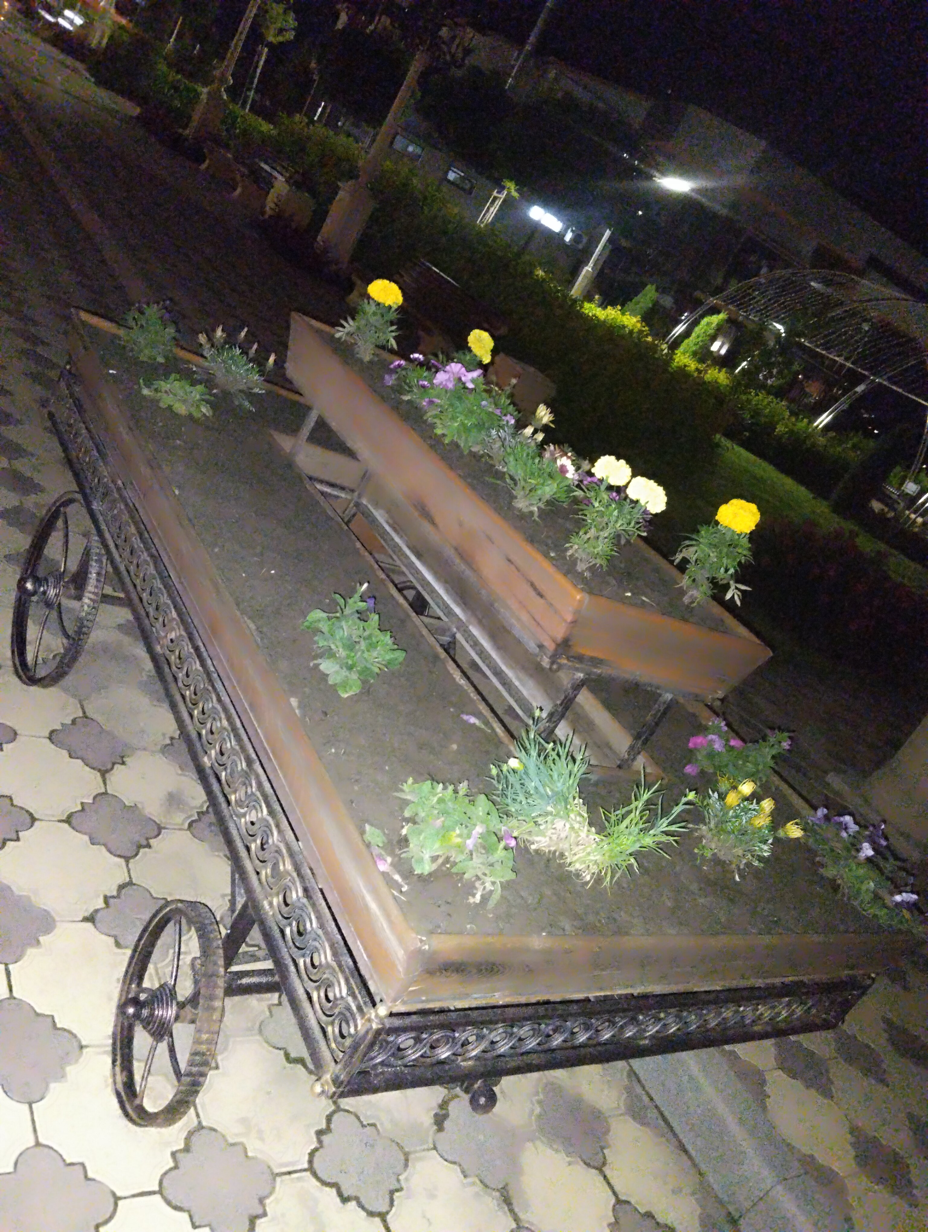 Фото Парнас