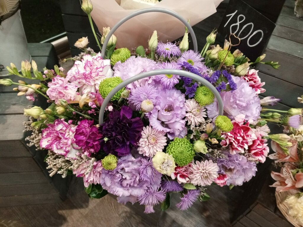 Виктория Веревкина