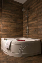 Фото Vedzisi garden hotel