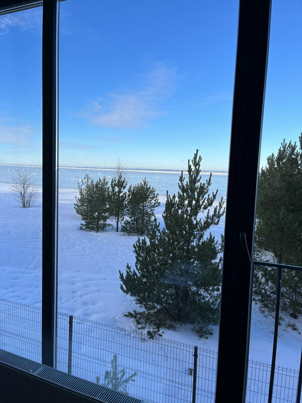 Фото Ёlki Лебяжье