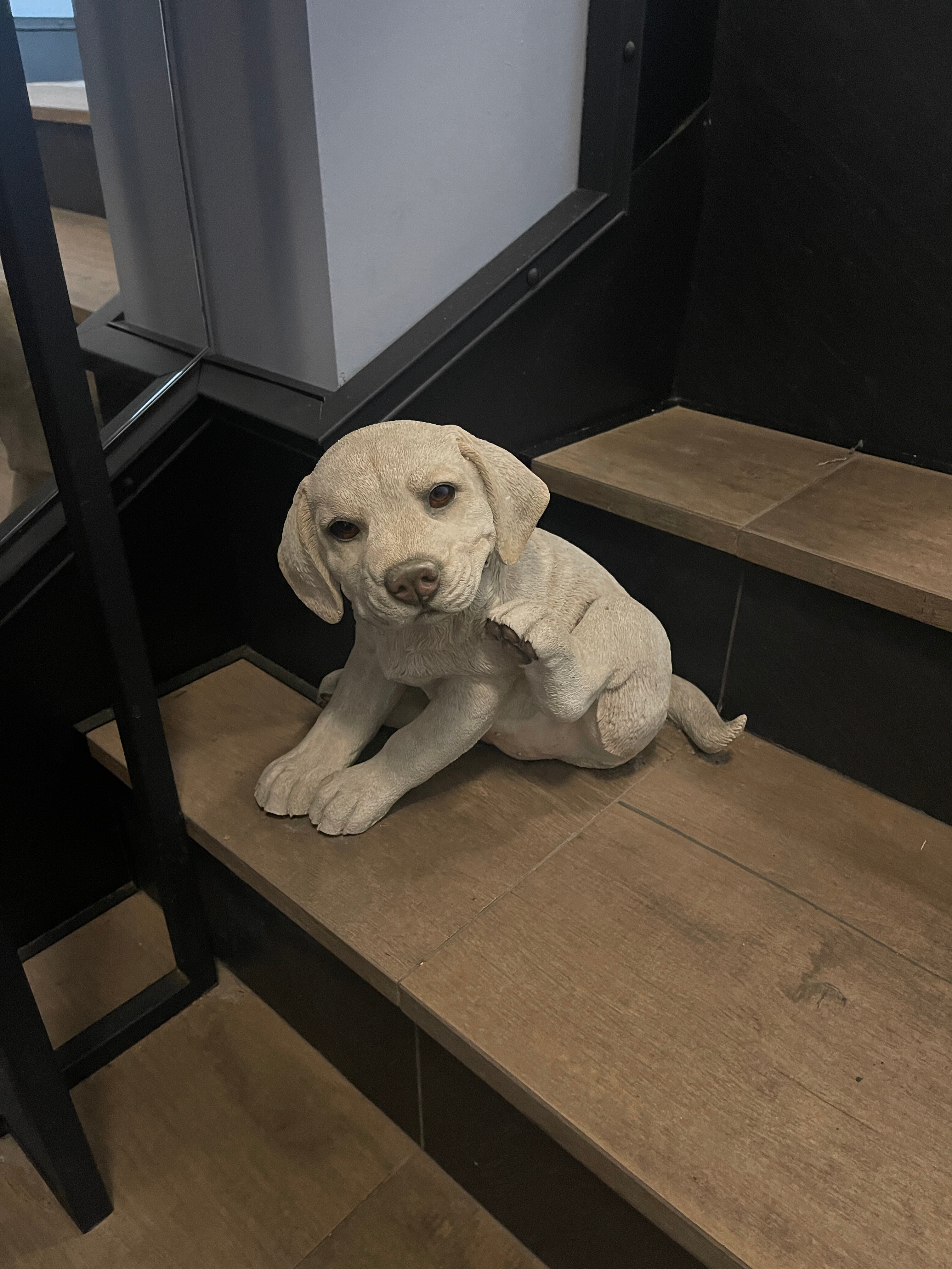 Фото Zalkind Hotel