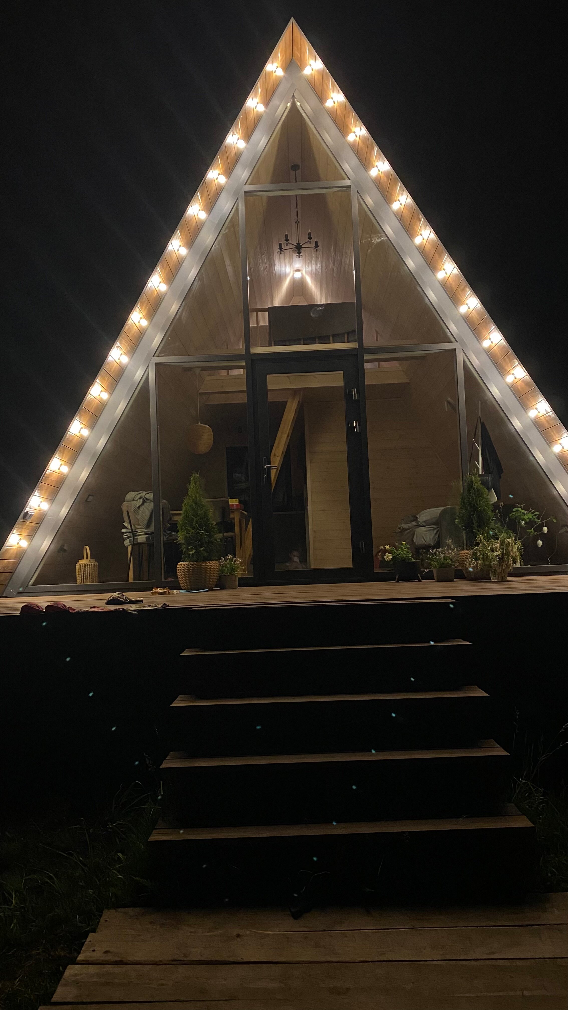 Фото Камыши