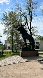 Лось (Ленинградская область, Выборг, парк имени Ленина), жанровая скульптура в Выборге