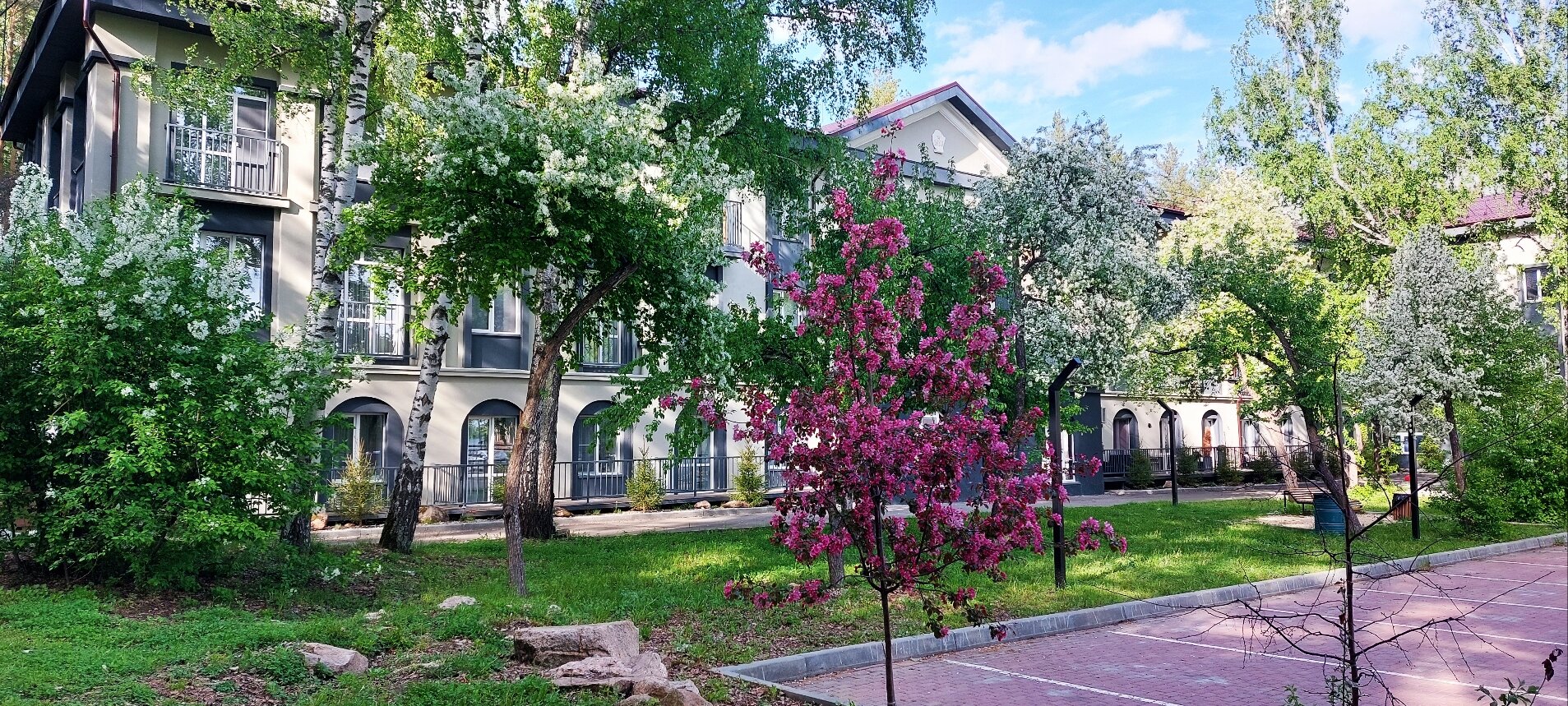 Фото Парк-отель Еловое