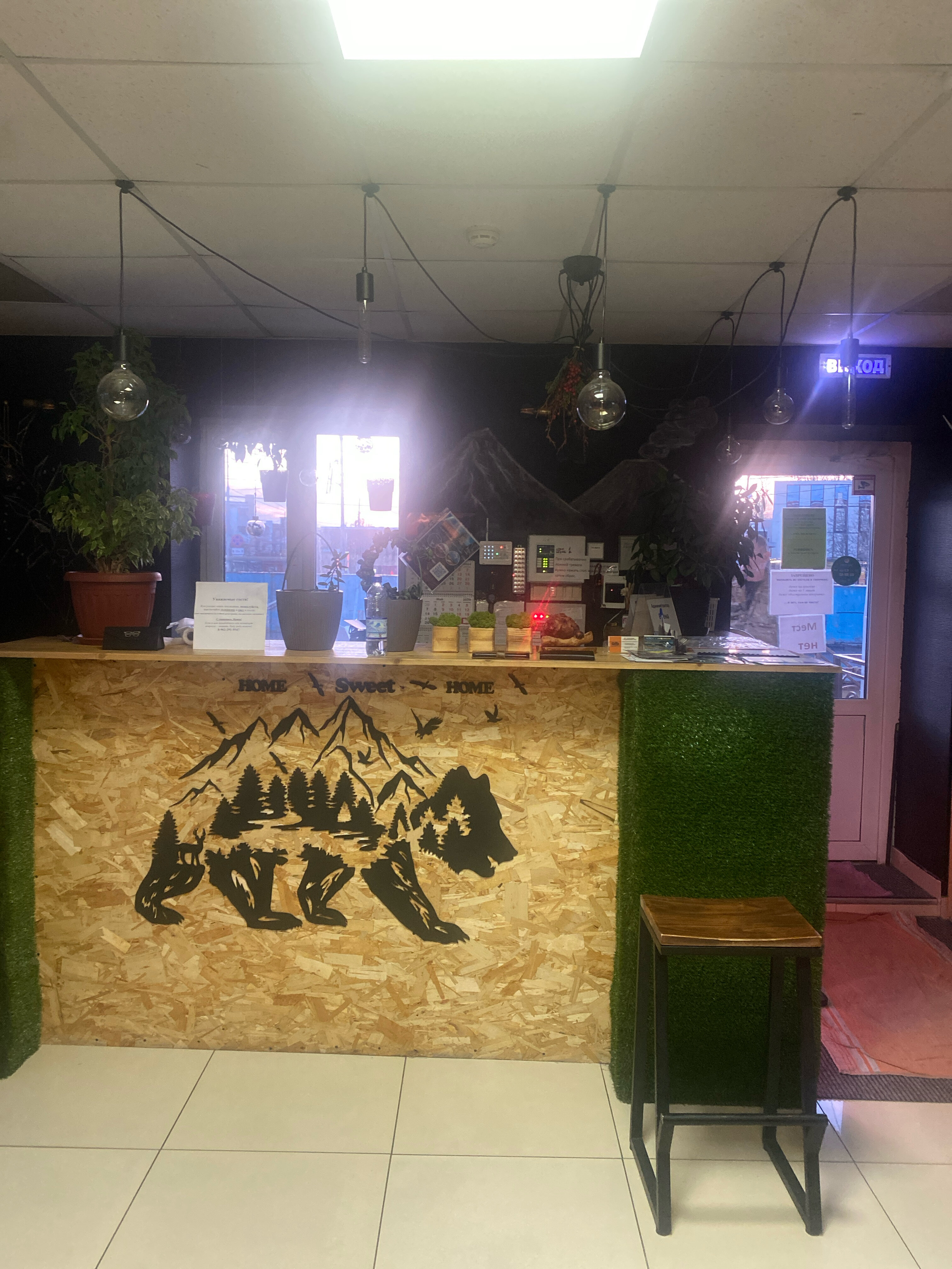 Фото Брусника