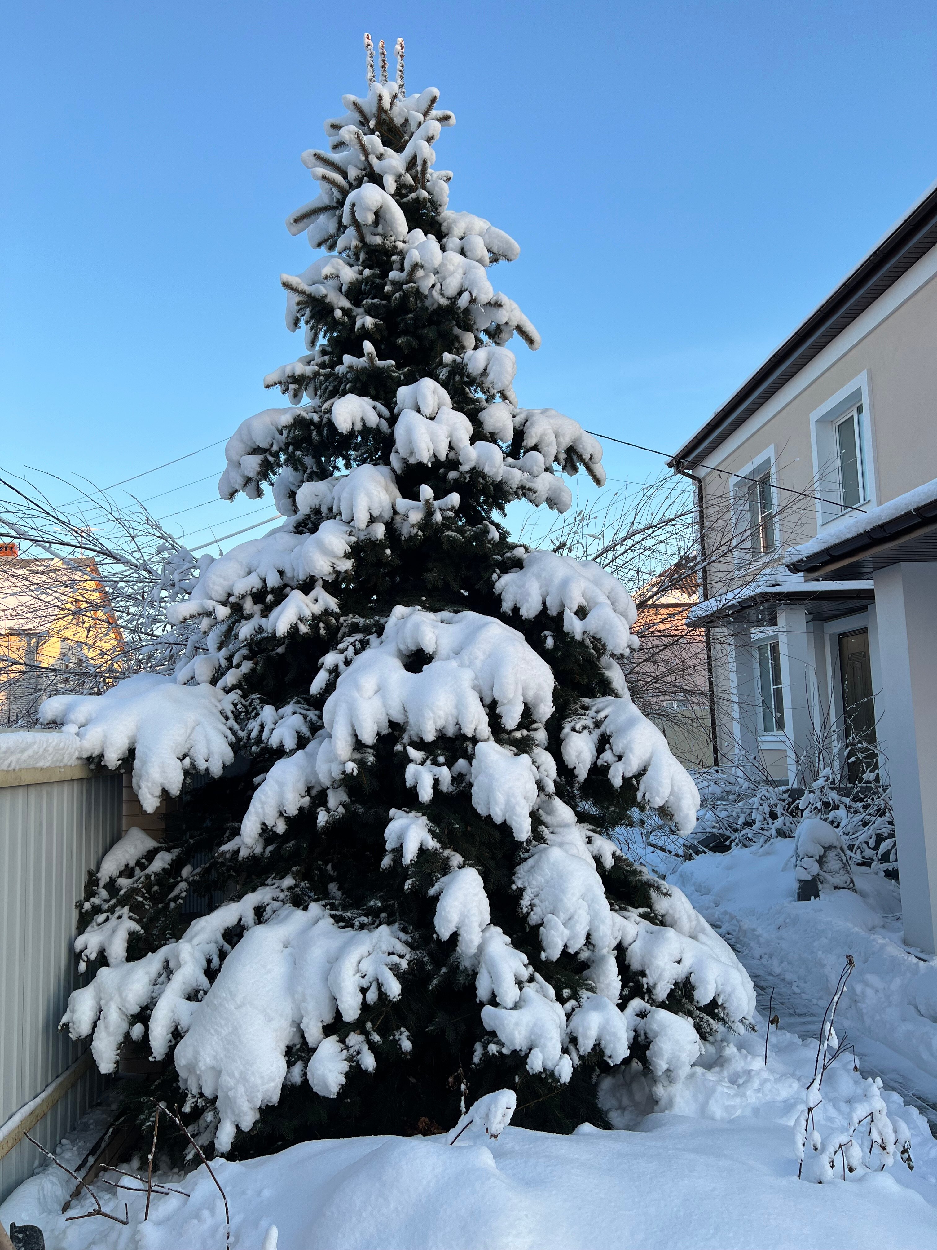 Фото Гостиный Дворъ