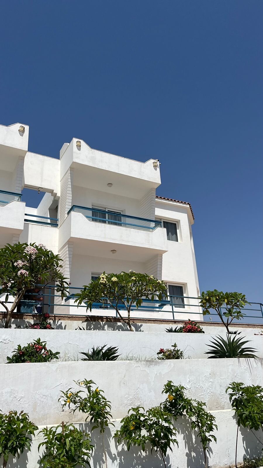 Фото Dreams Beach Resort Sharm El Sheikh