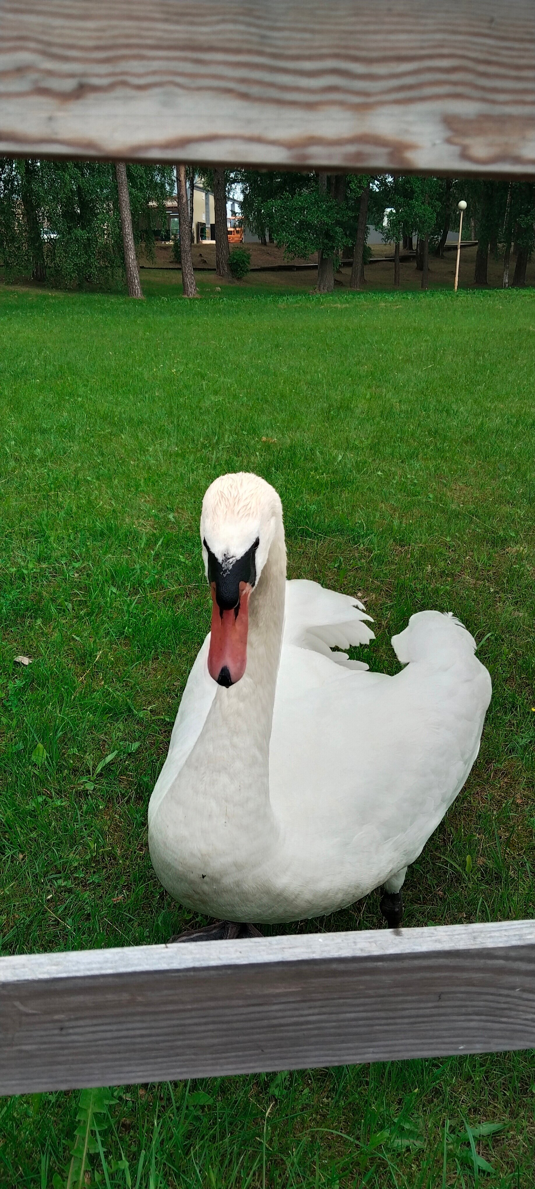 Фото BraslavLakes