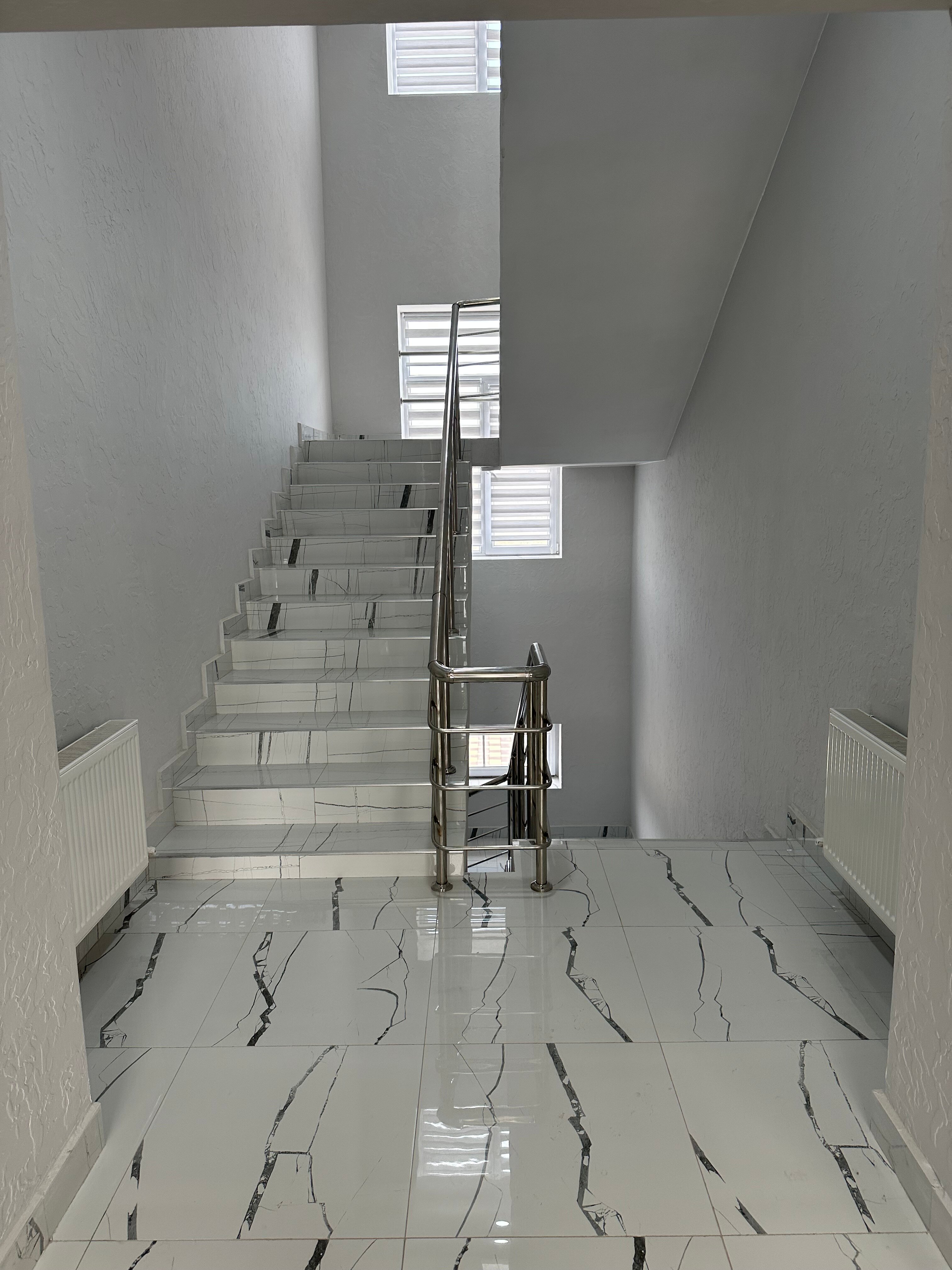 Фото Платан