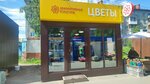 Magazin tsvetov (Severo-Zapadnaya Street, 224А) ، محل زهور