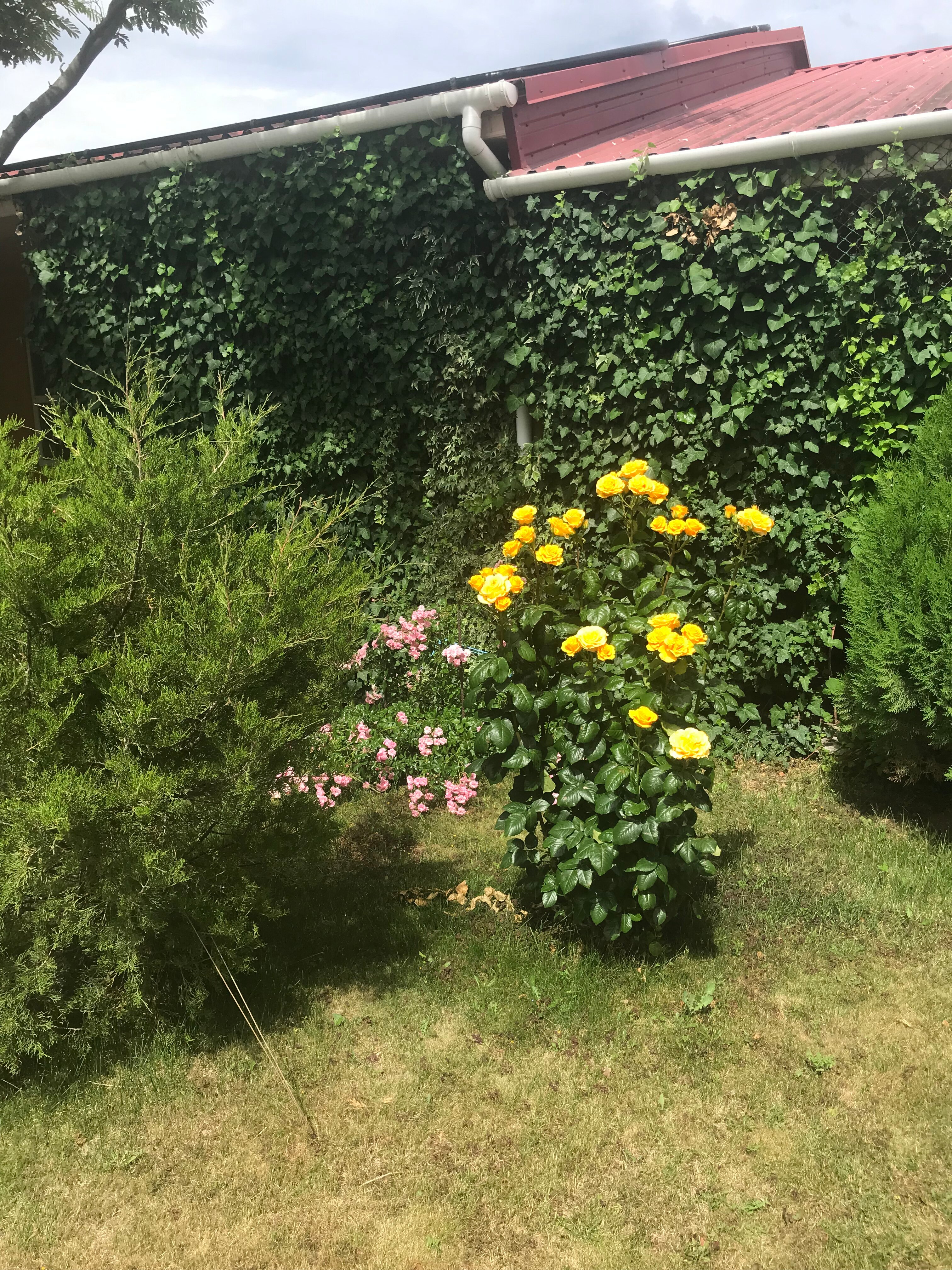 Фото Райский отдых