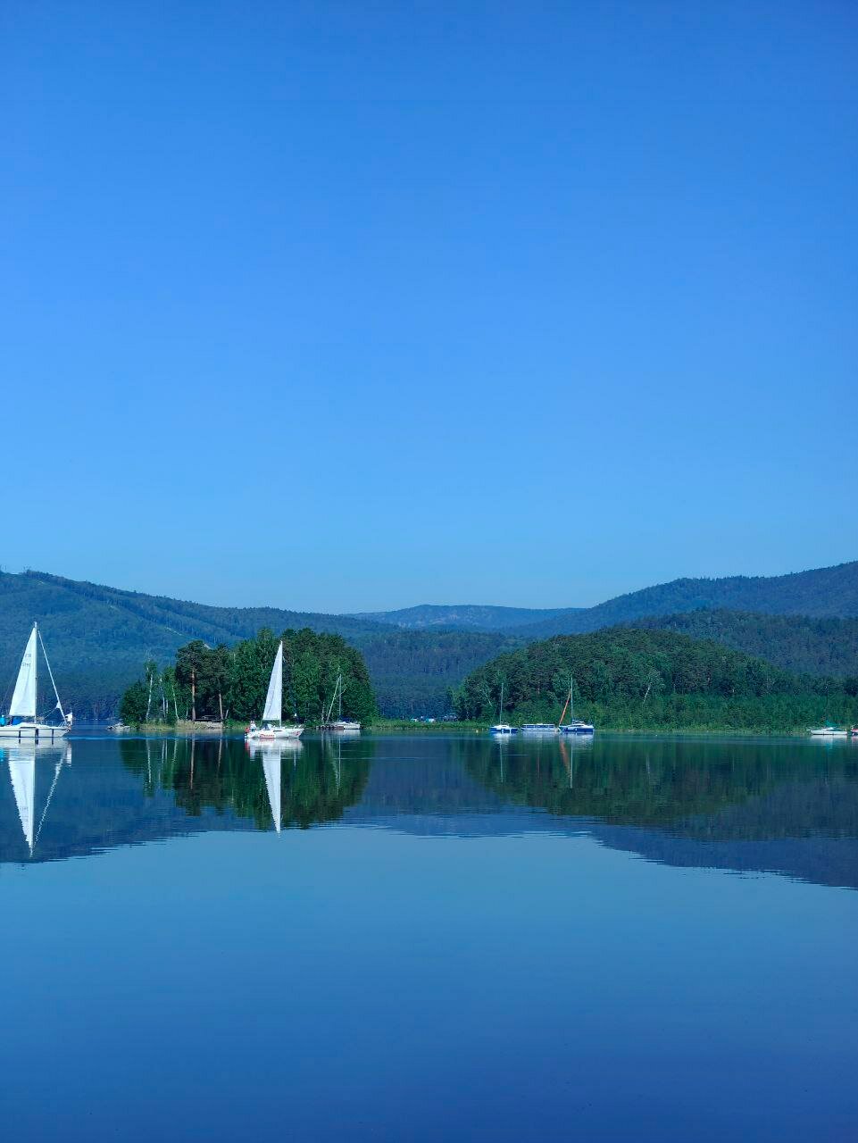 Фото Турголд