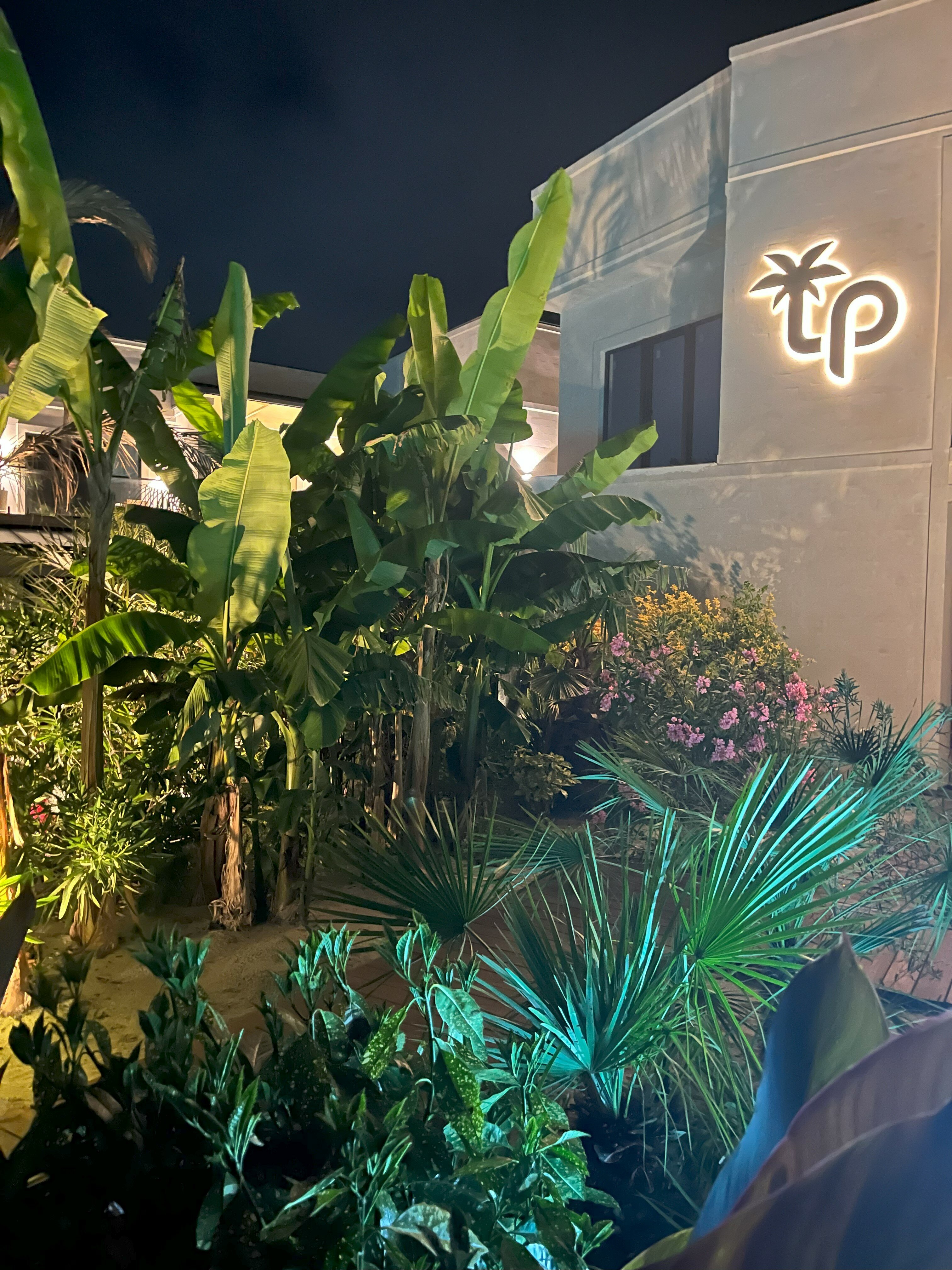 Фото Little Palm