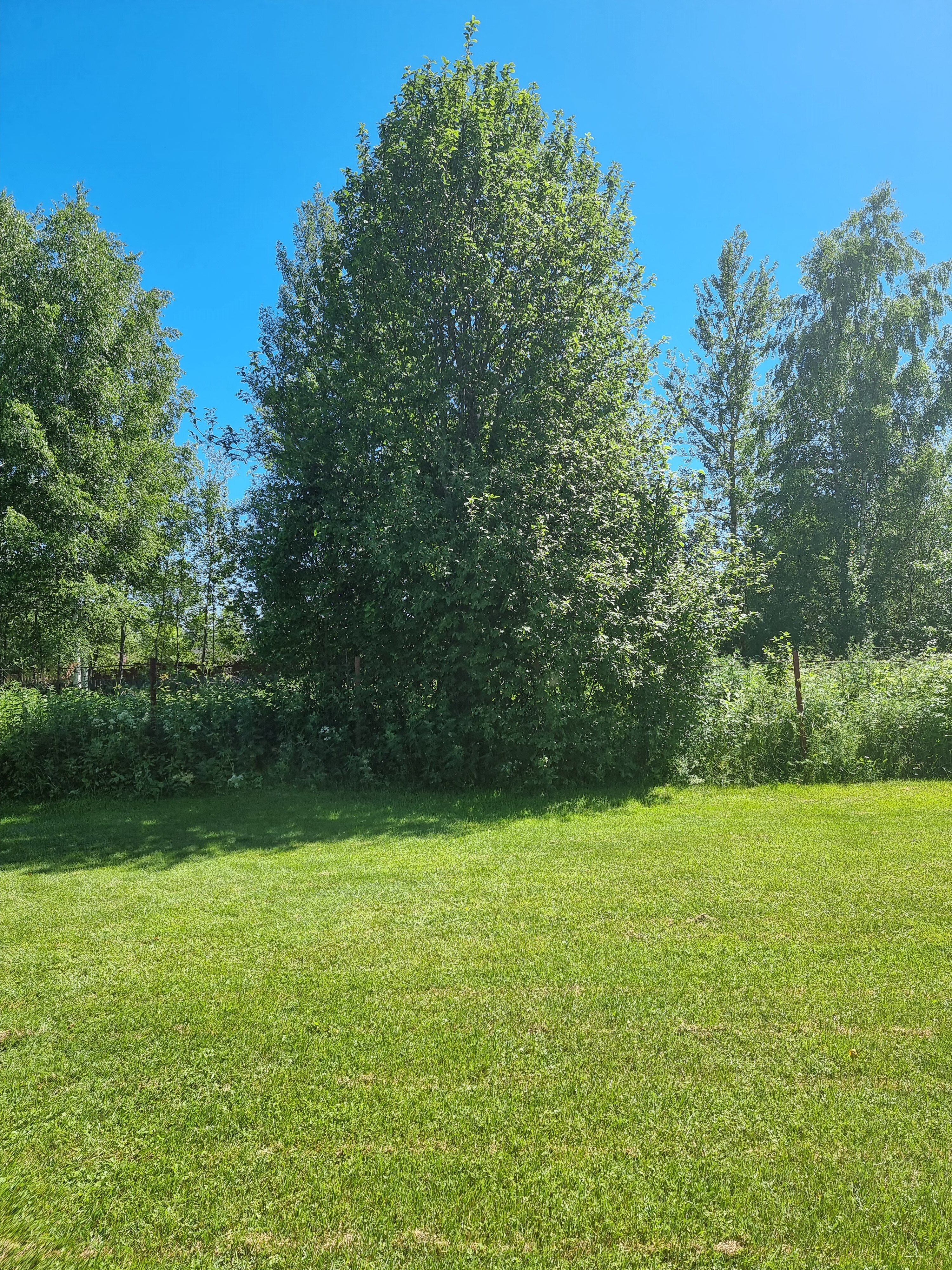 Фото Оберег