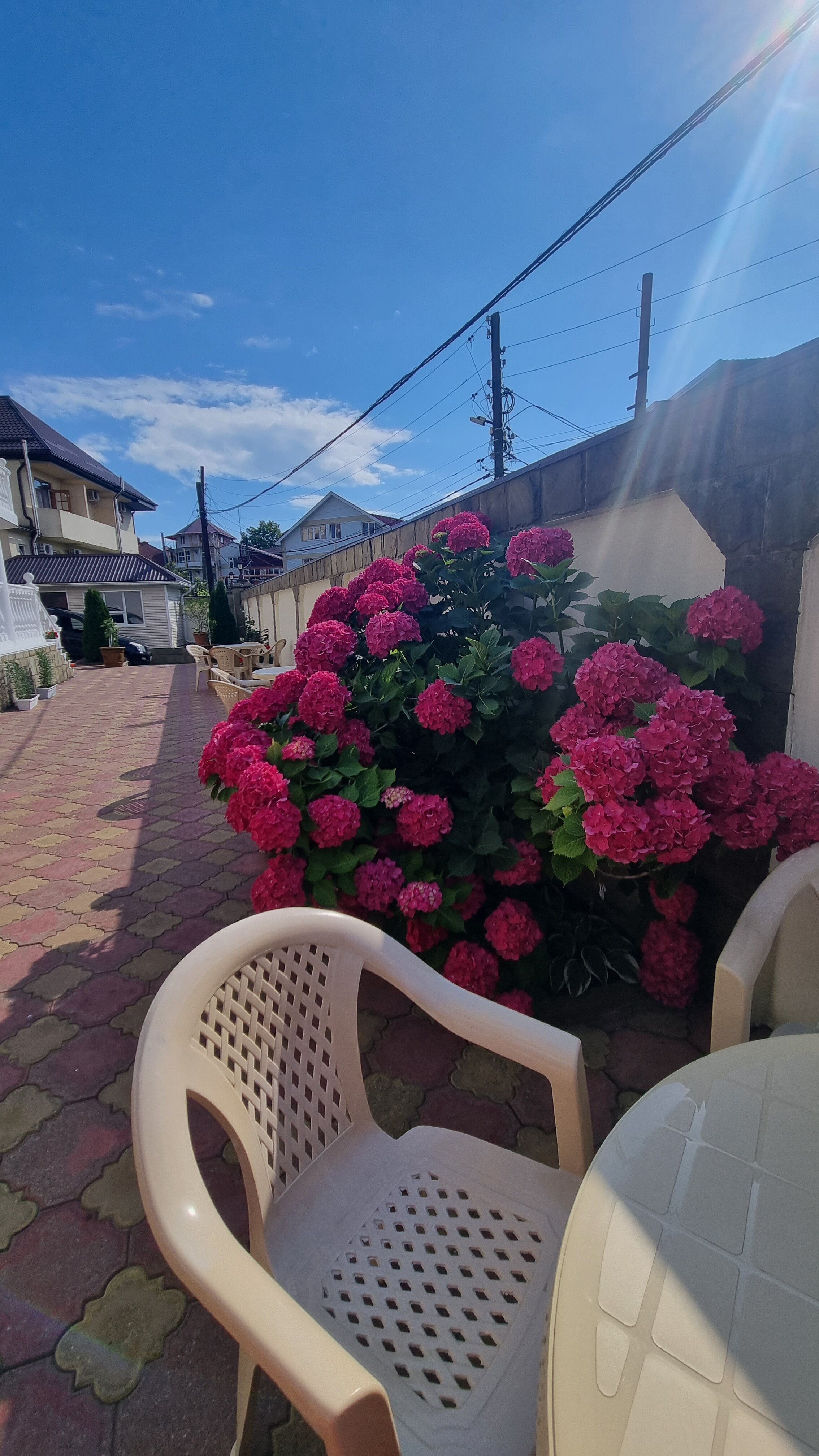 Фото Лера