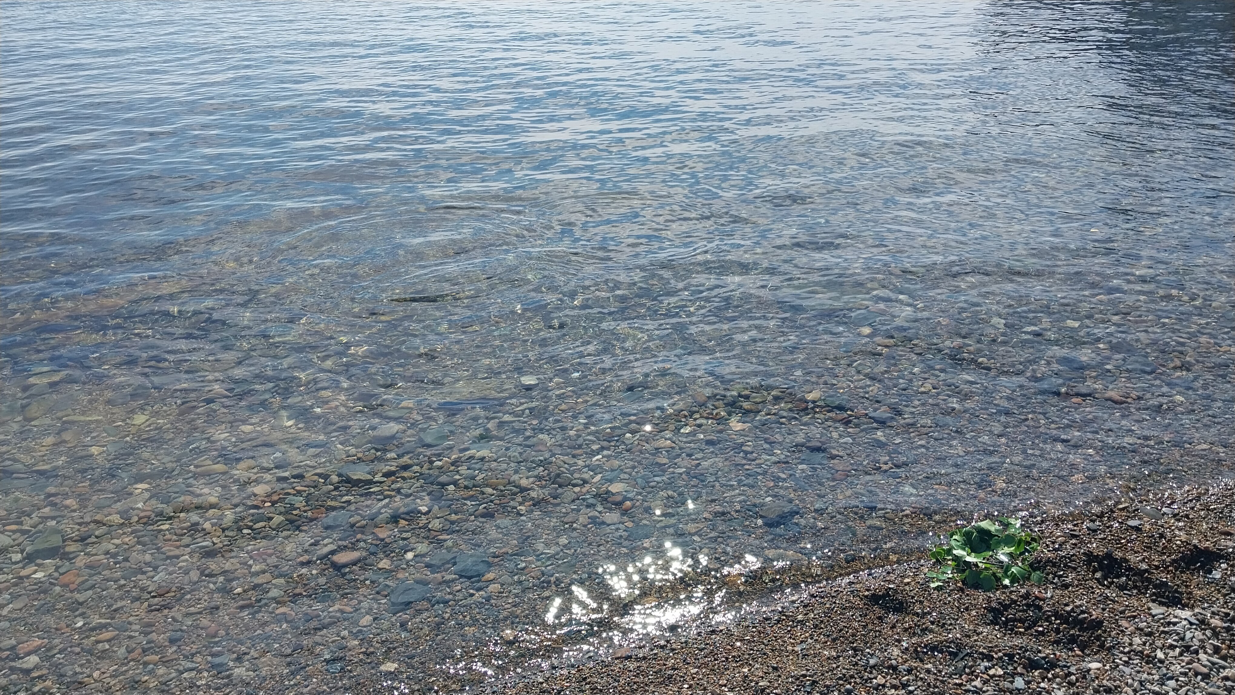 Фото Созвездие Байкала