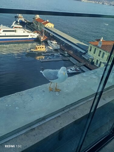 Внешний вид отеля Kordon Hotel Pasaport в Конаке, фото 5