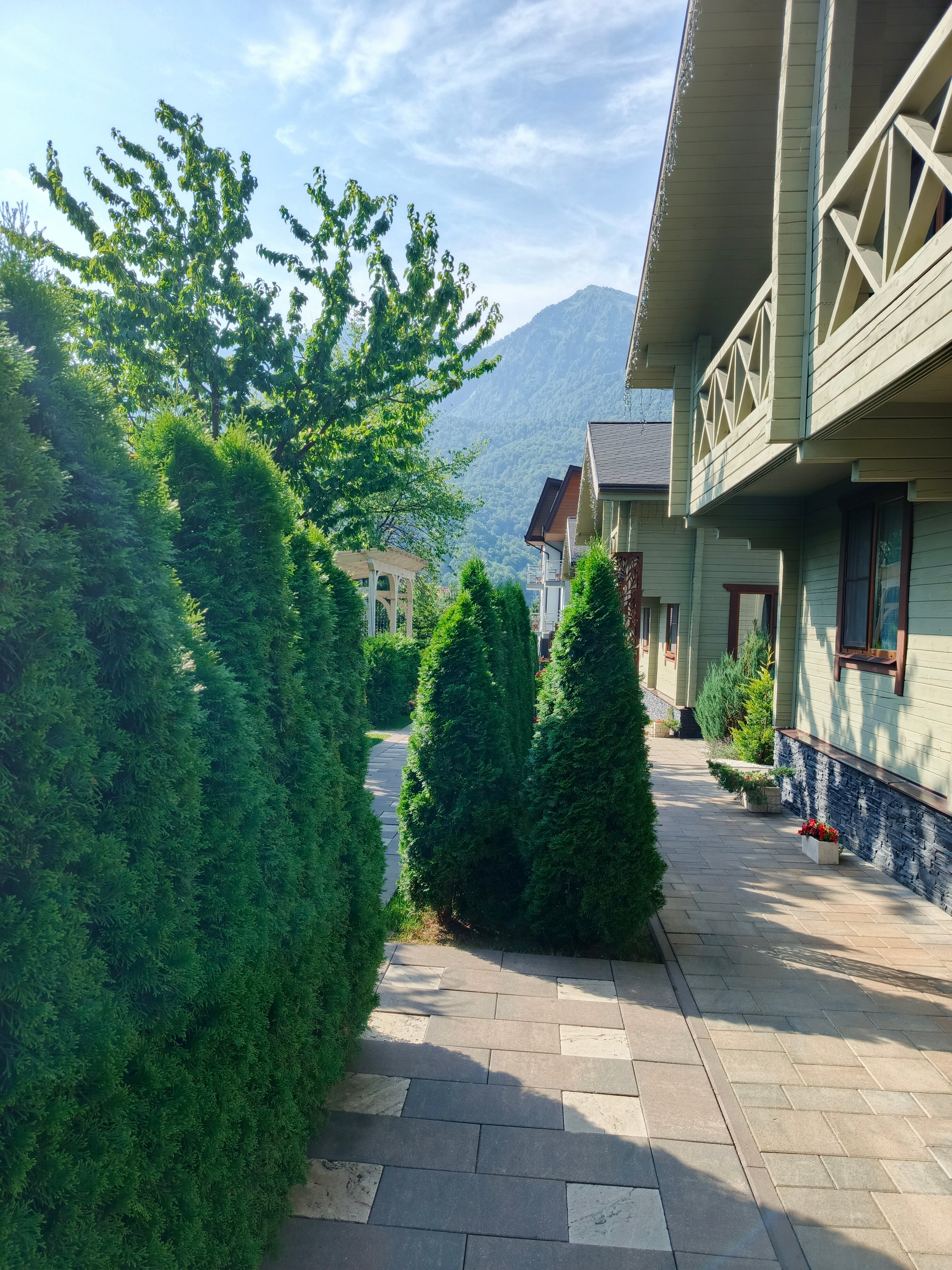 Фото Hills Polyana Hotel & SPA