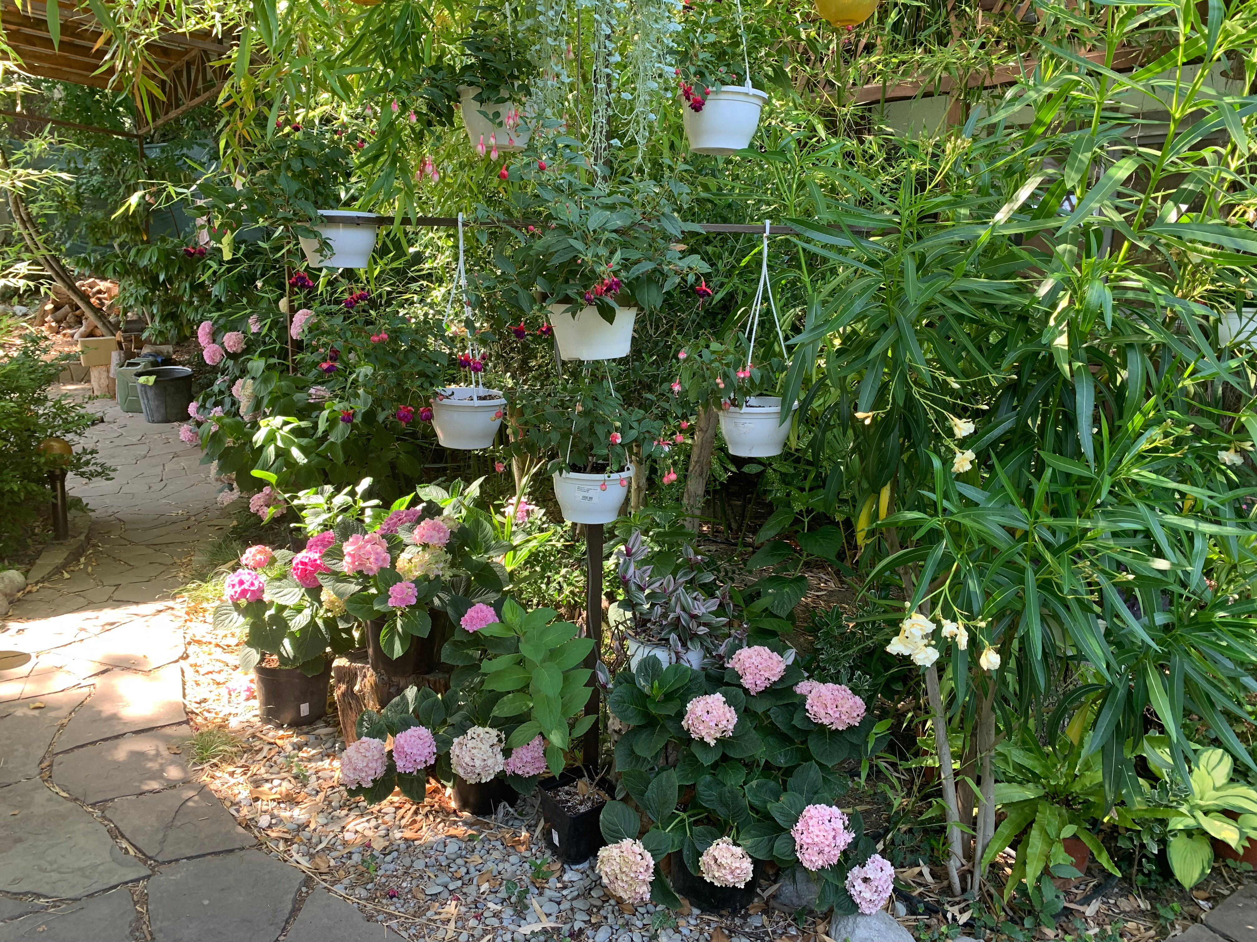 Фото Дом для отдыха