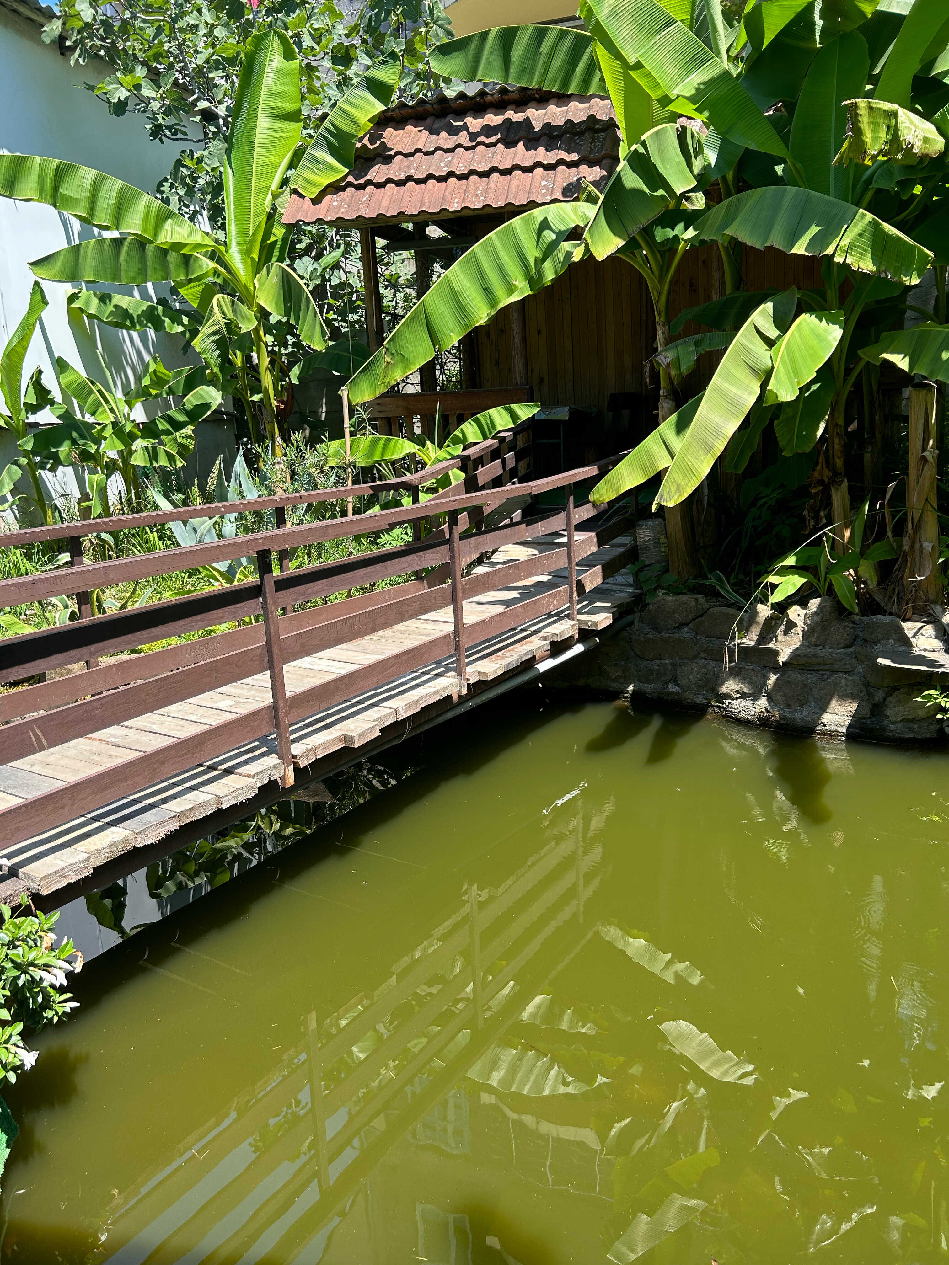 Фото Дом Солнца