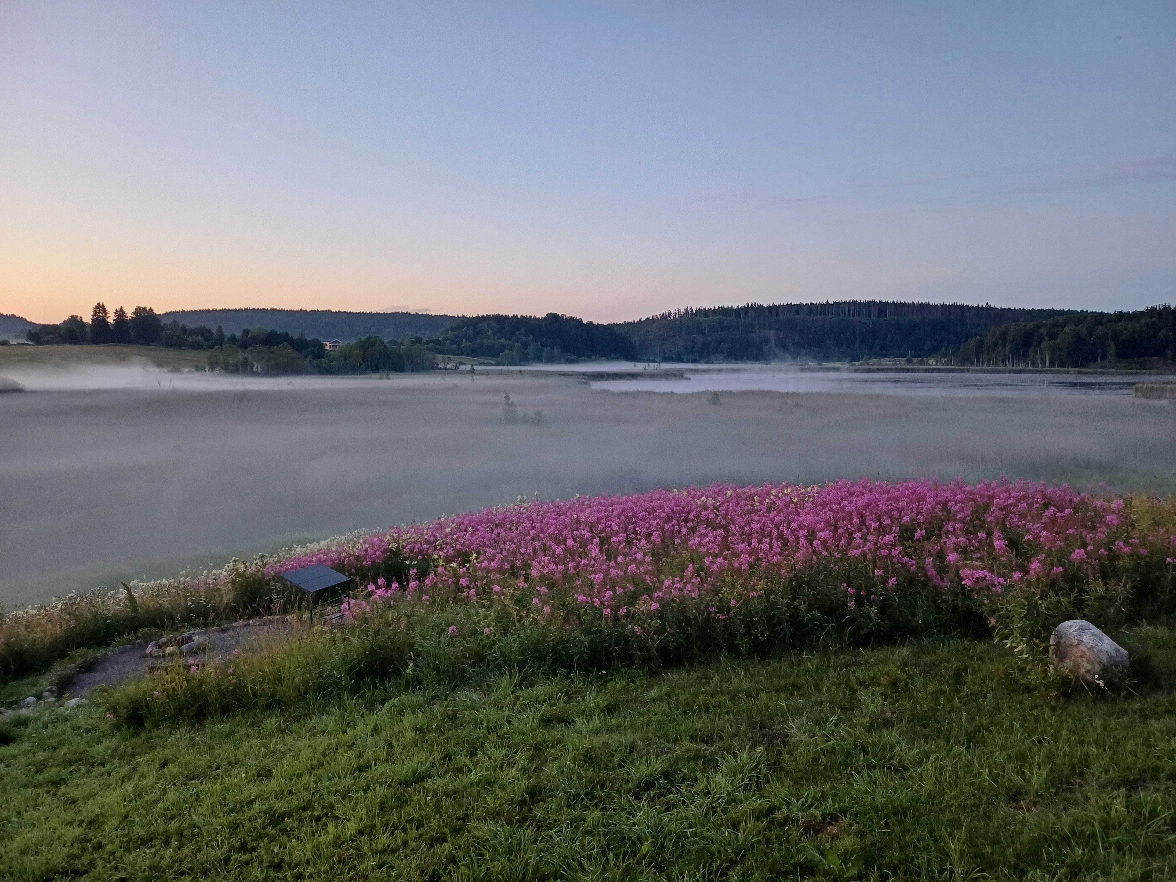 Фото Киркколампи
