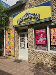 Zolușca (Chisinau, strada Petru Zadnipru, 15/4), household goods and chemicals shop