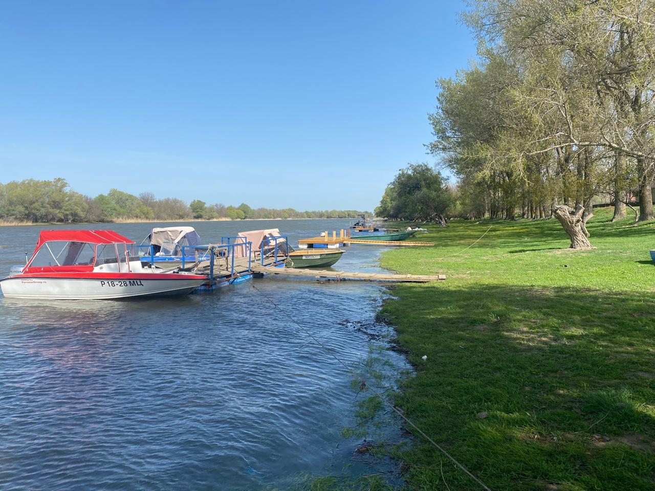 Фото Уваринка