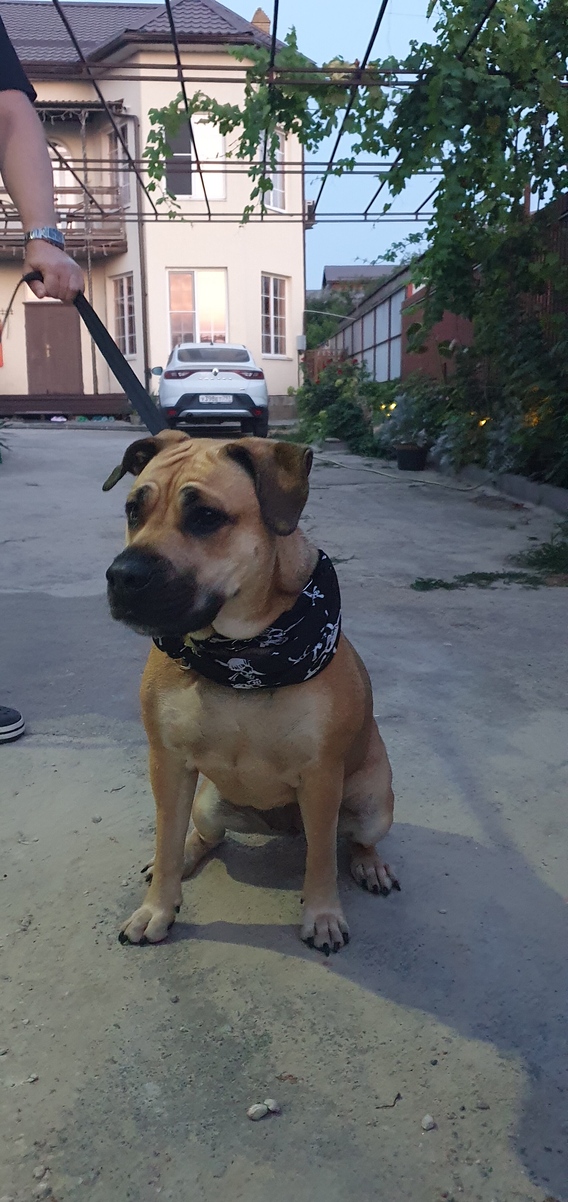 Фото В гостях у сказки