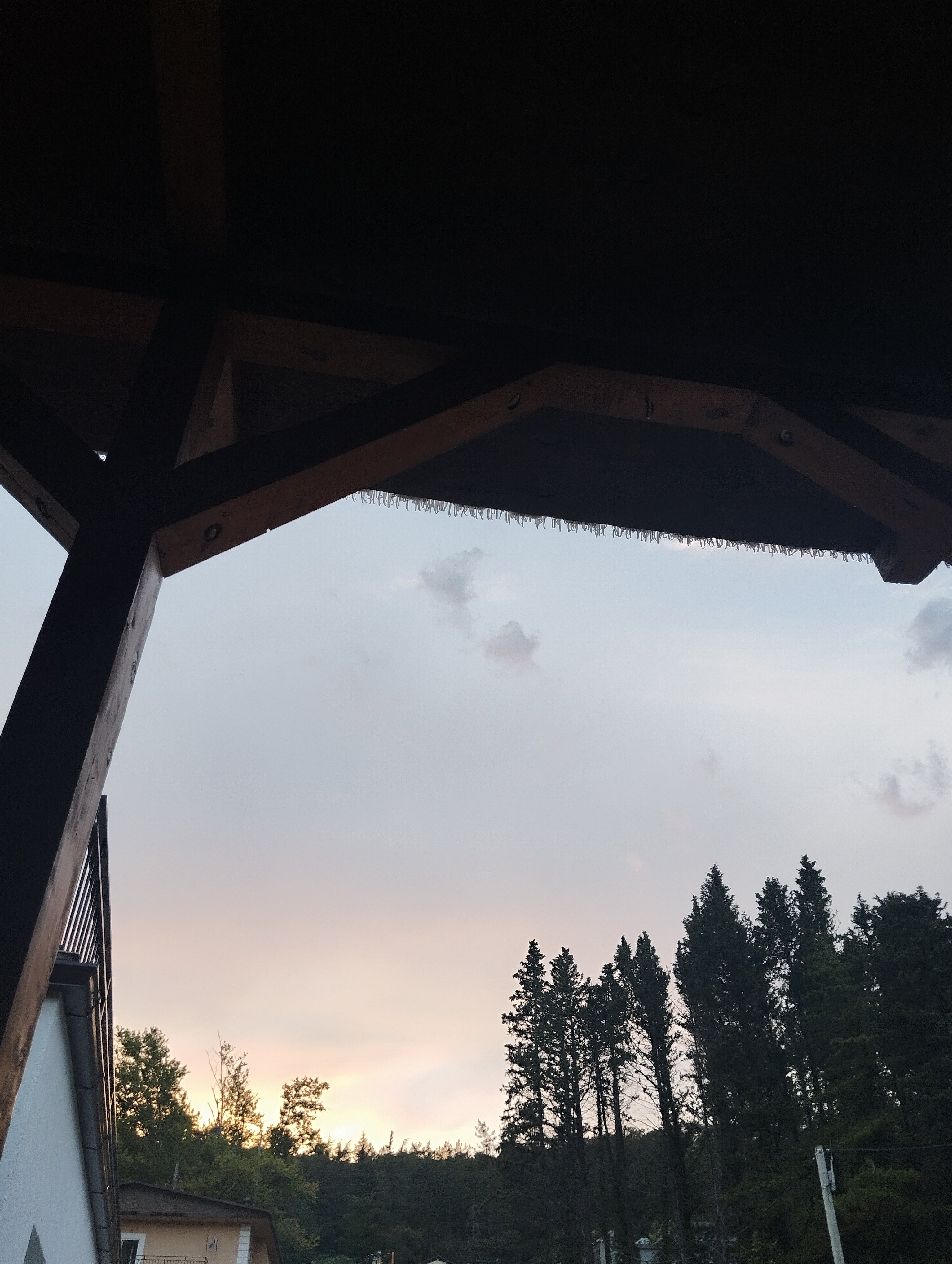 Фото Тропики