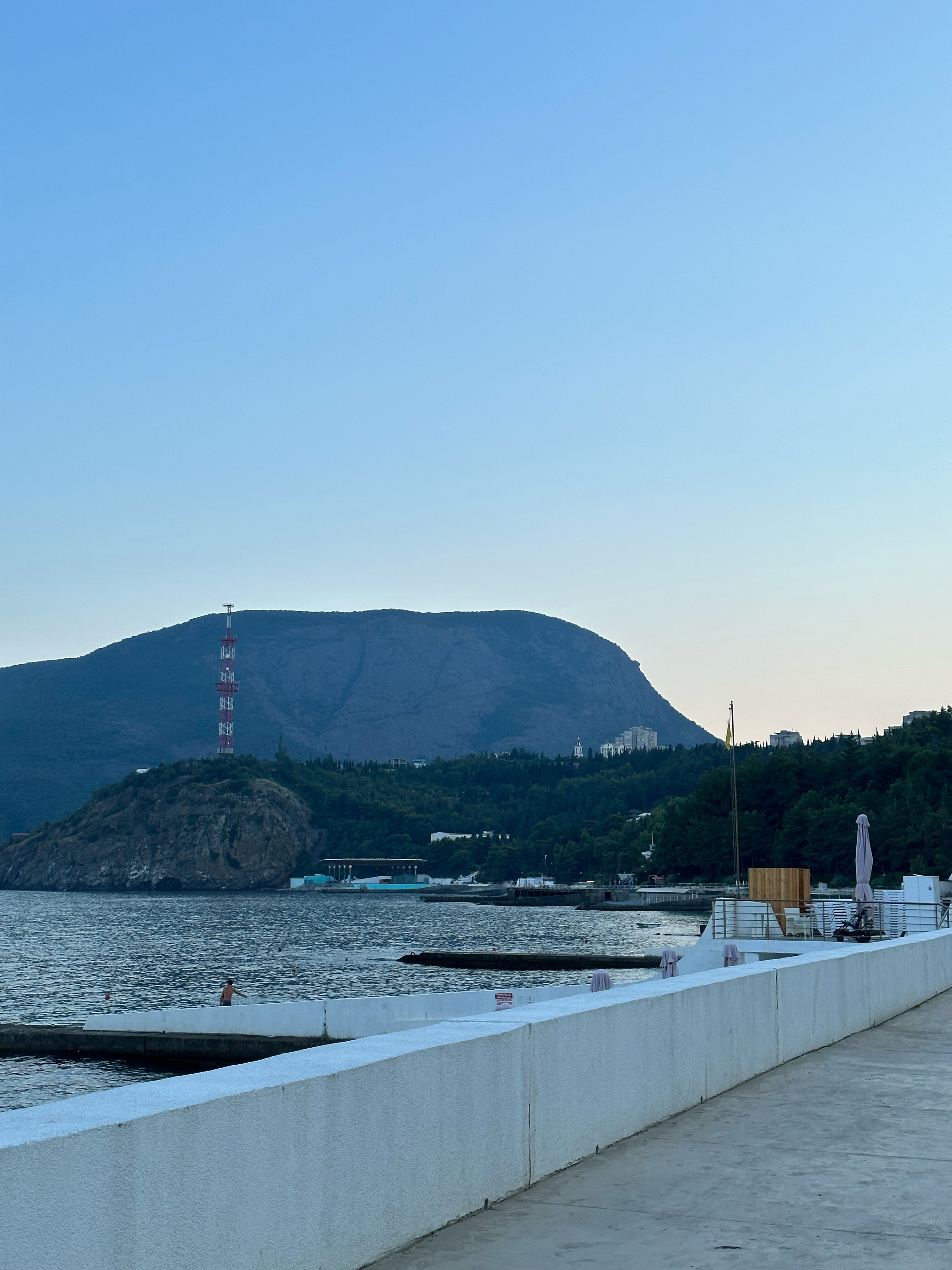 Фото Медуза