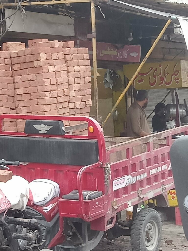 Fish and seafood Kala rahoo fish corner, Lahore, photo