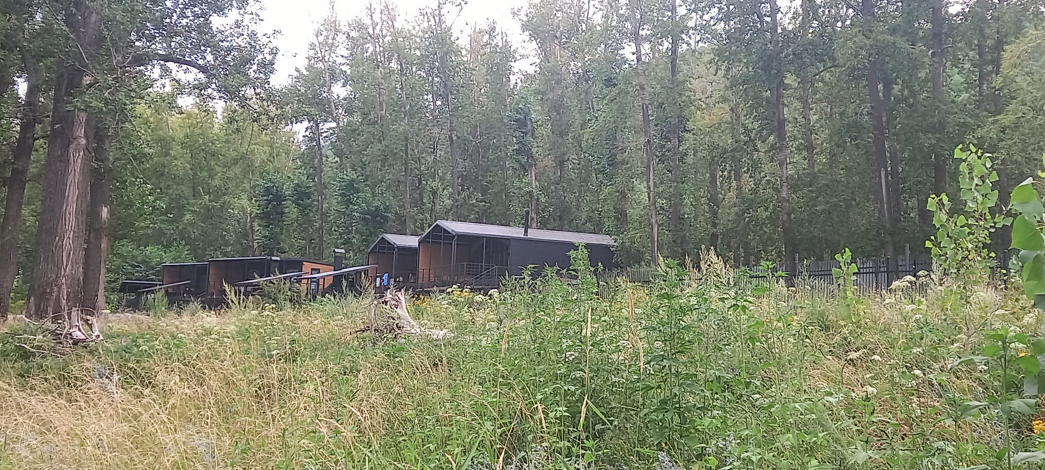 Фото Гаврюша глэмп