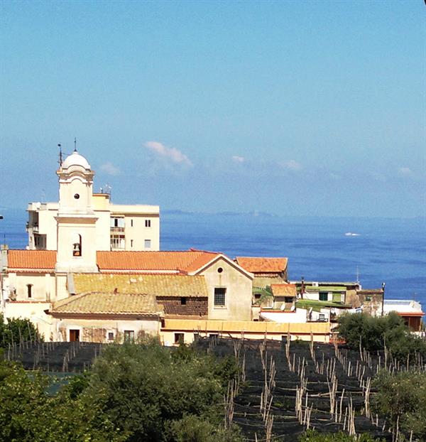 Фото Hotel Central Park