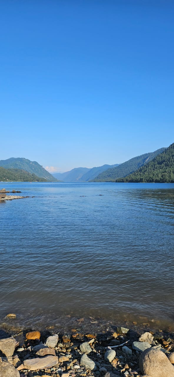 Фото Forest Glamp