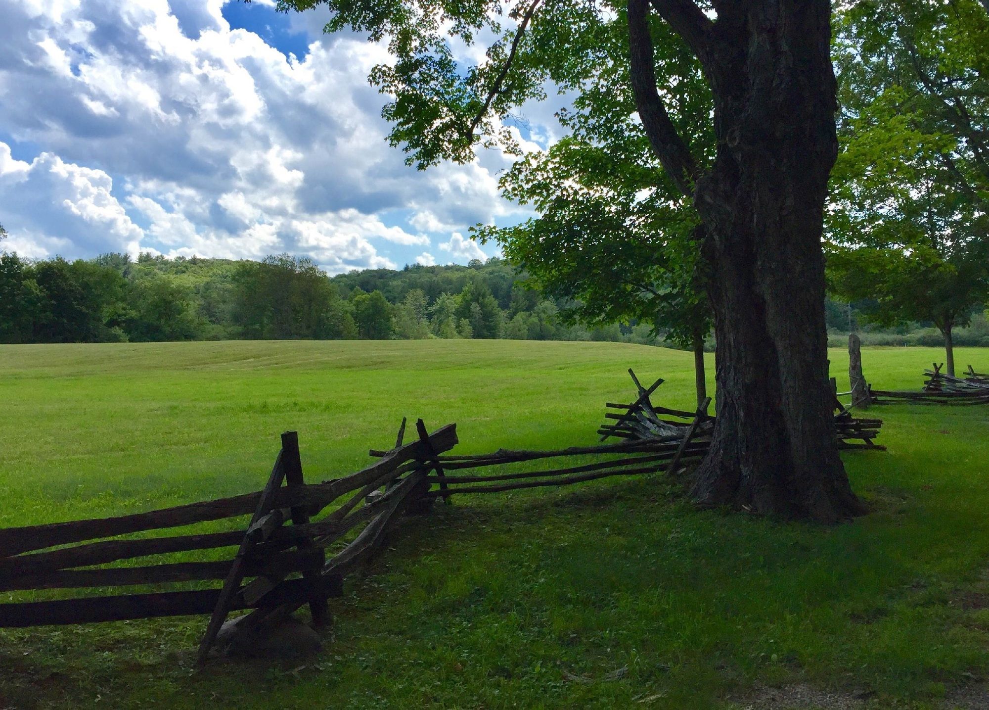 Фото Manor House Inn