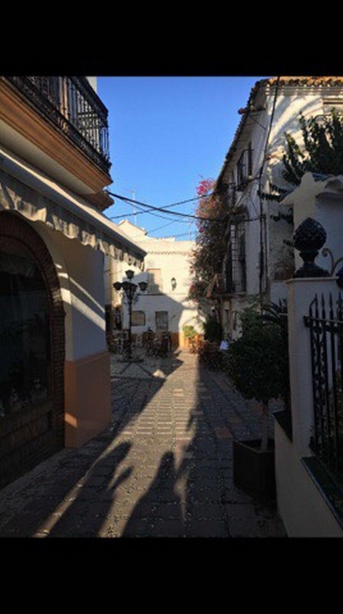 Фото Hostel Bohemia