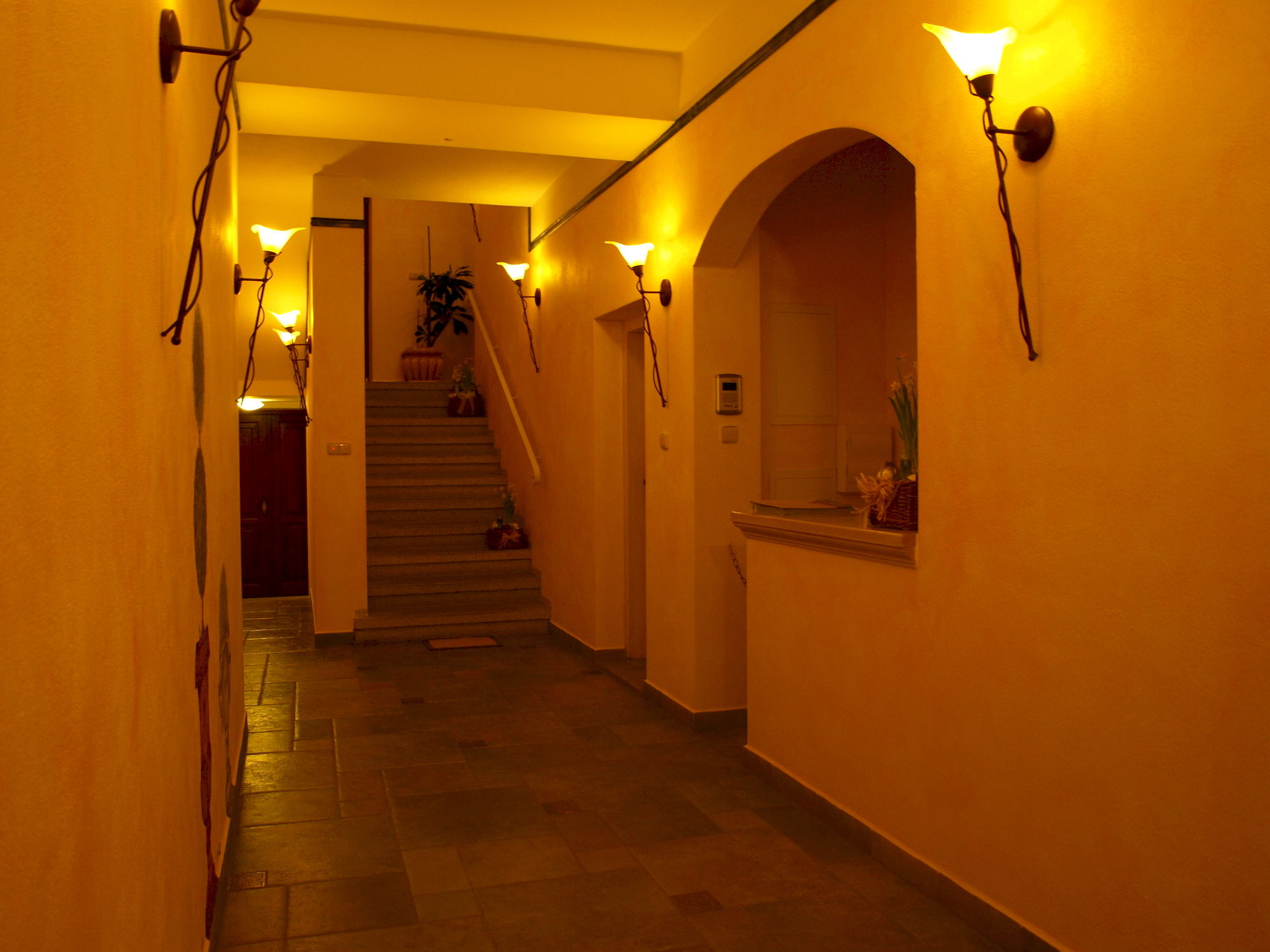 Фото Pension Amadeus