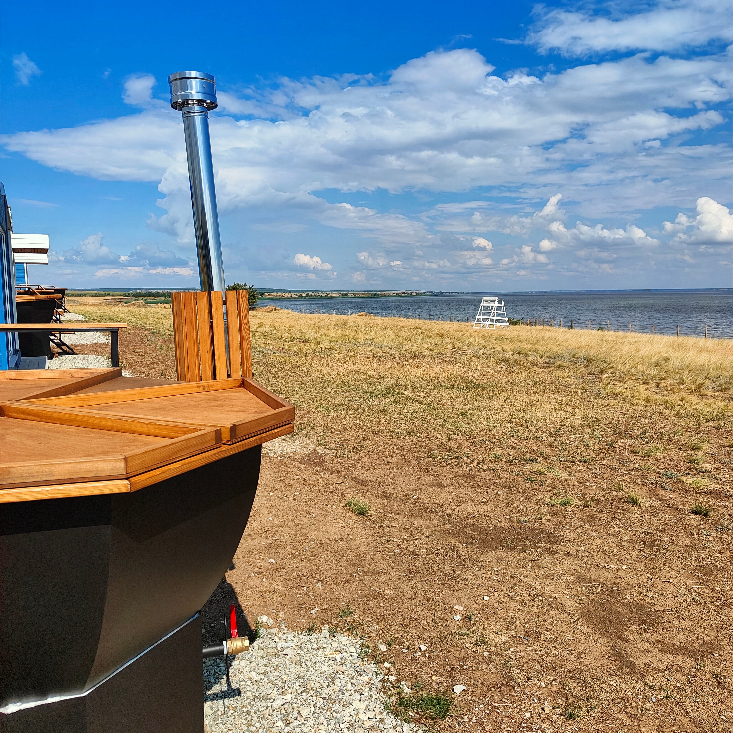 Фото Полынь