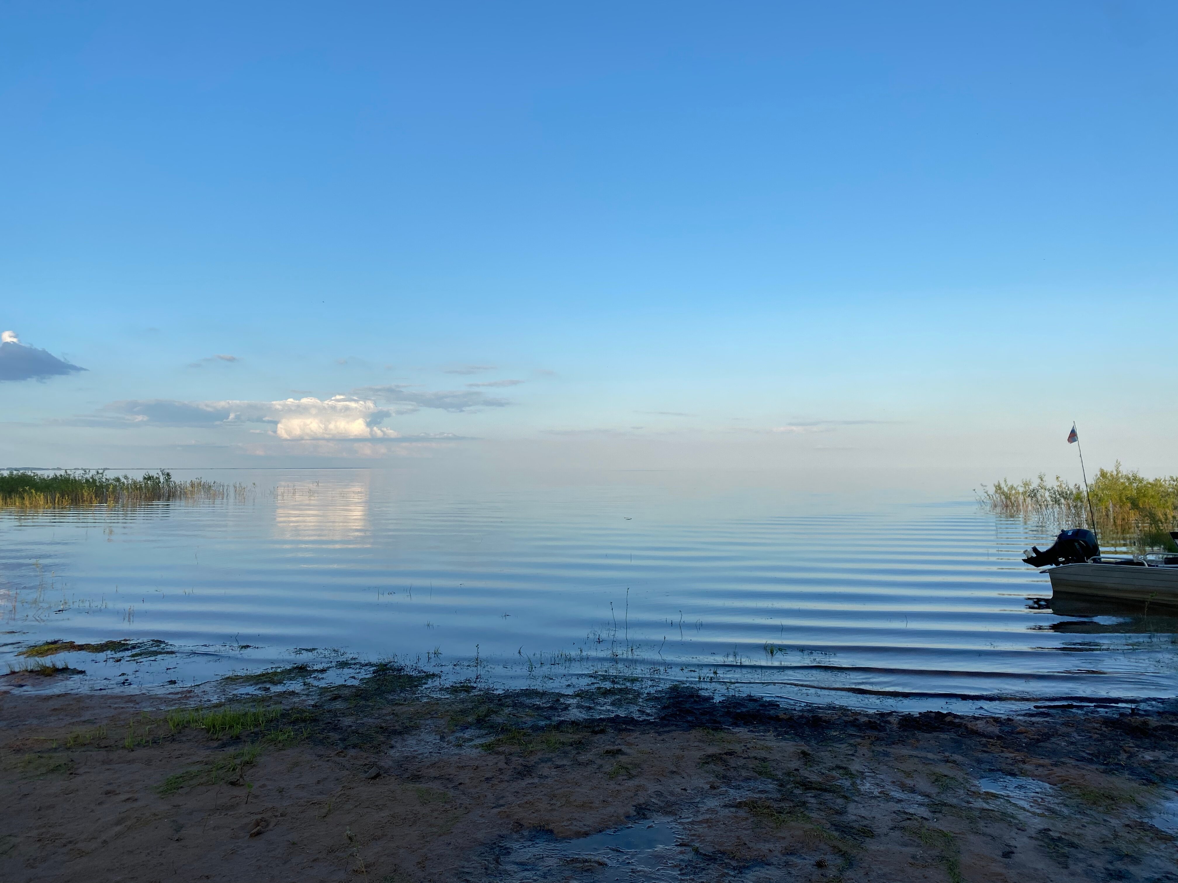Фото Просто Квашино
