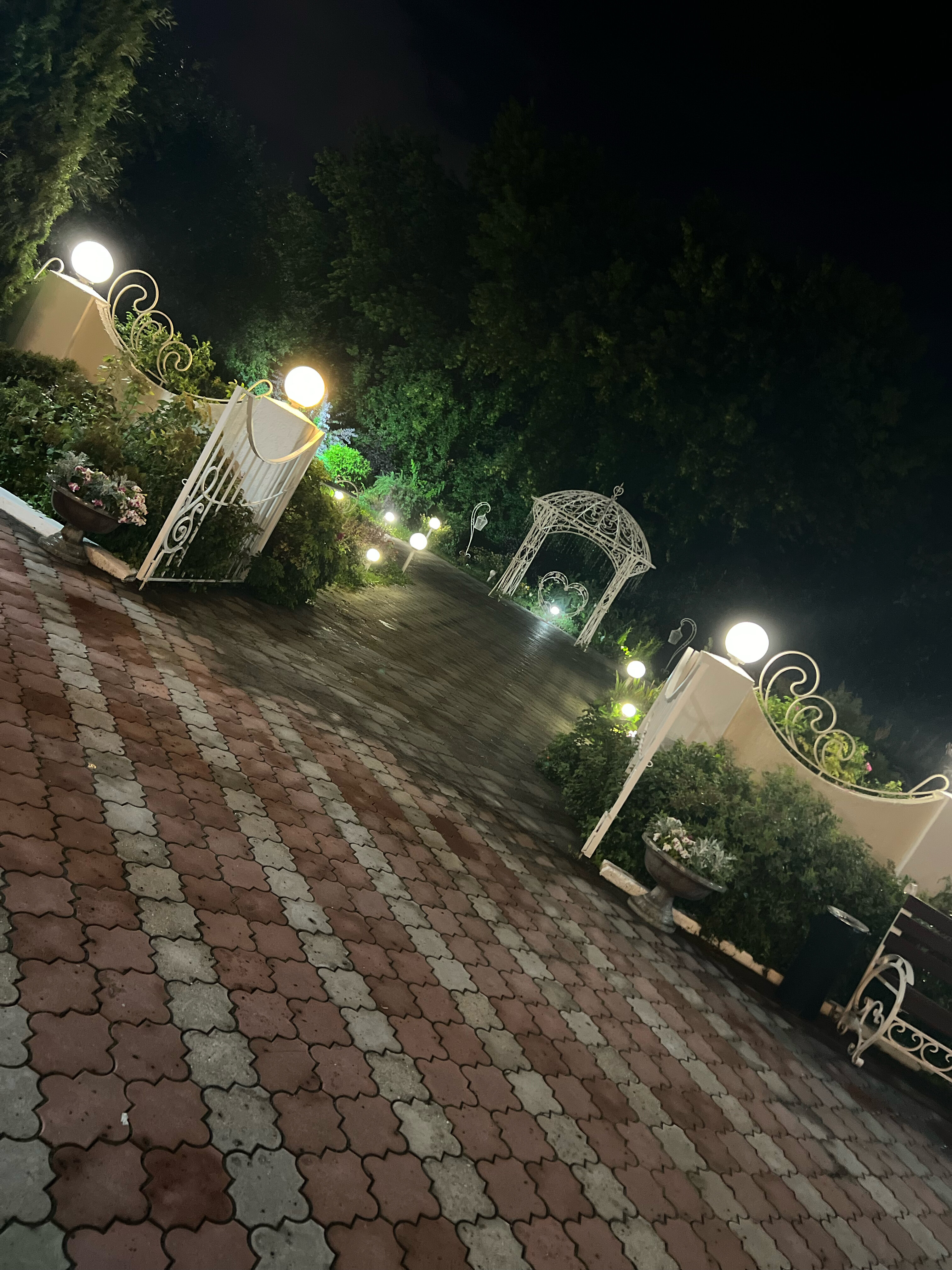 Фото Лагуна