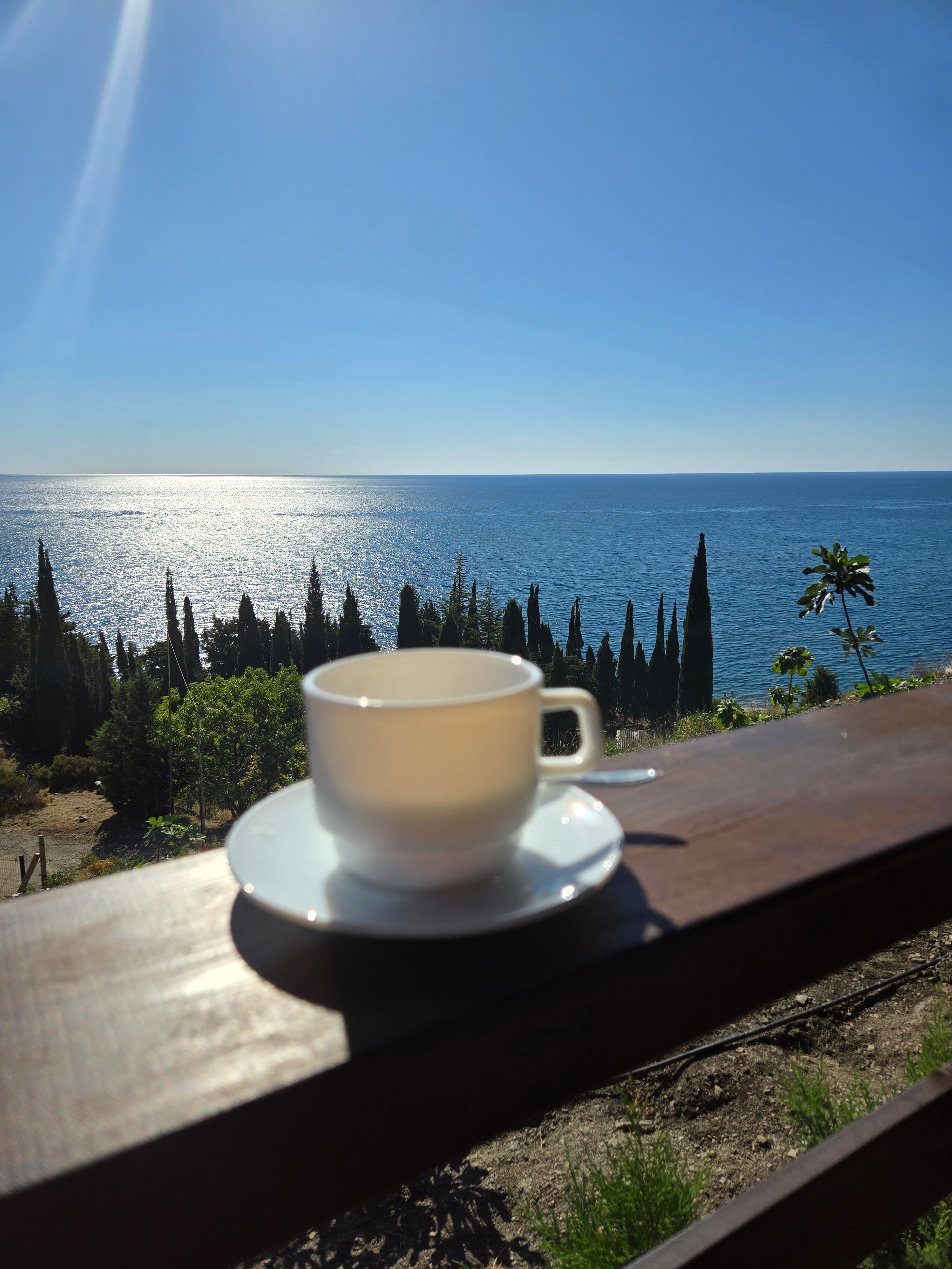 Фото Видовой