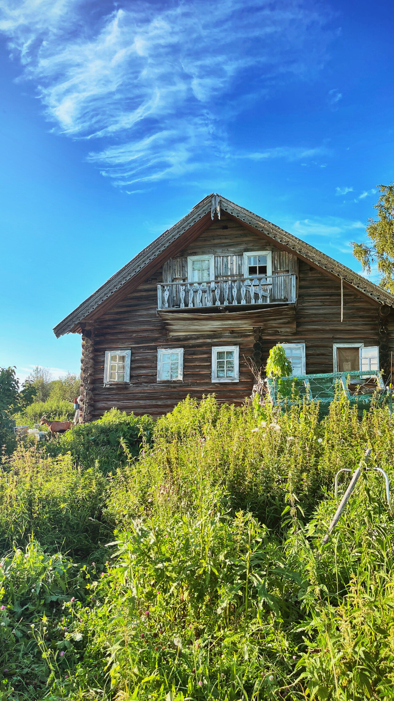 Фото Талвиоя