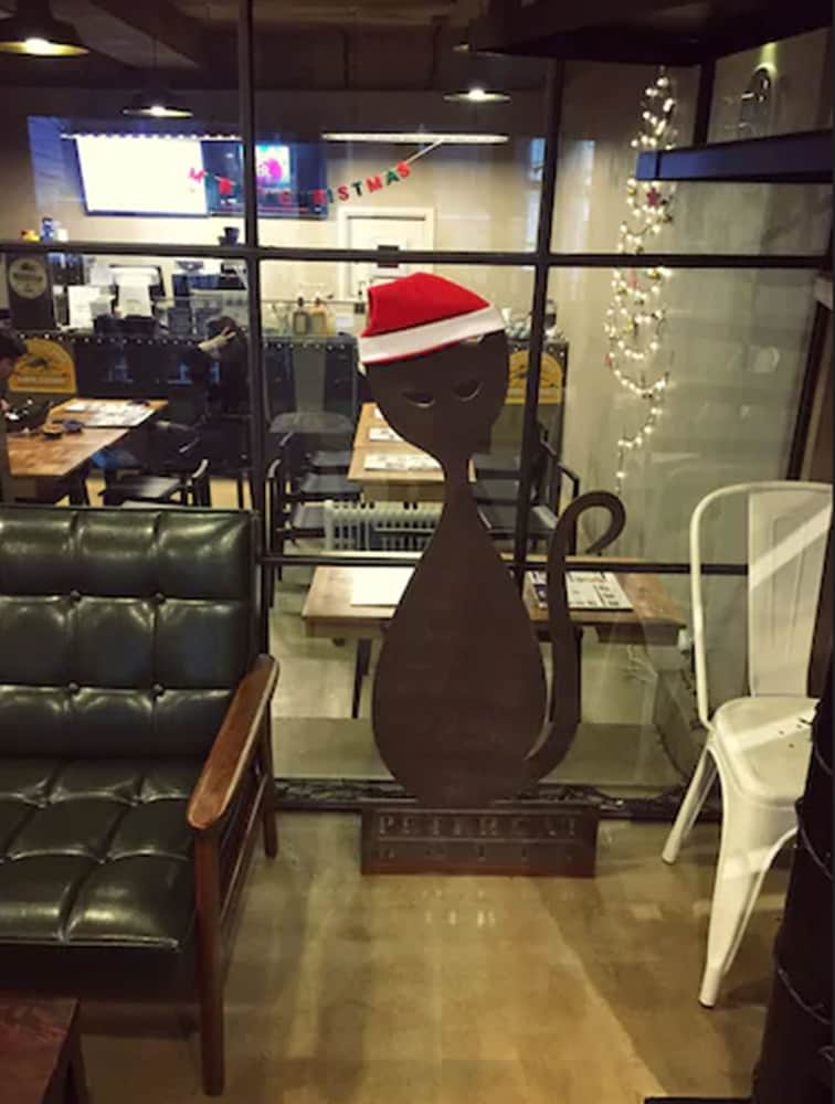 Фото Petercat Hotel Sinchon Hongdae