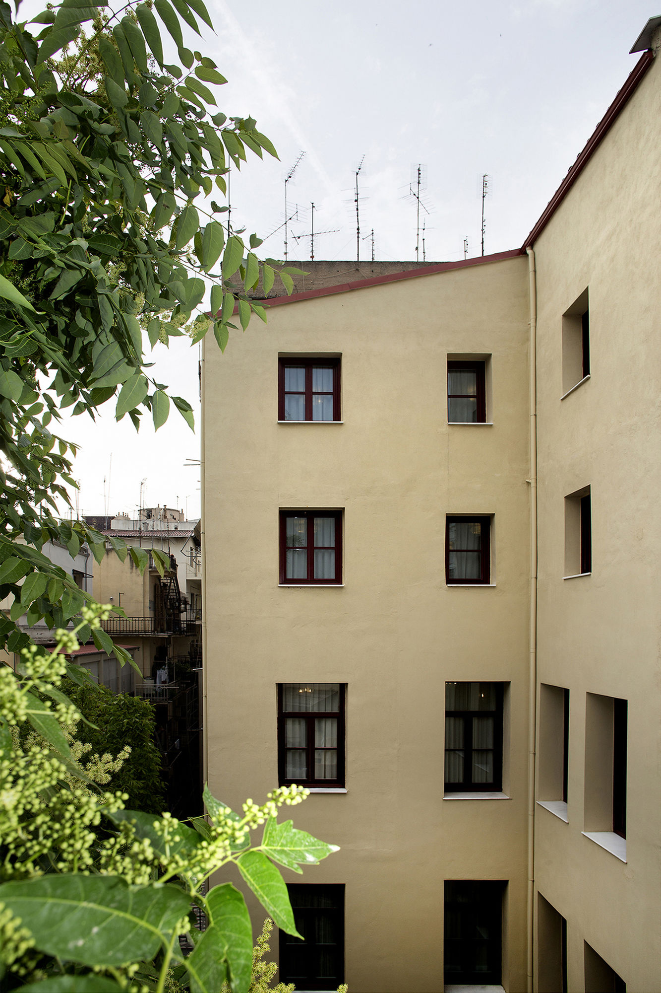 Фото Gatto Perso Luxury Apartments