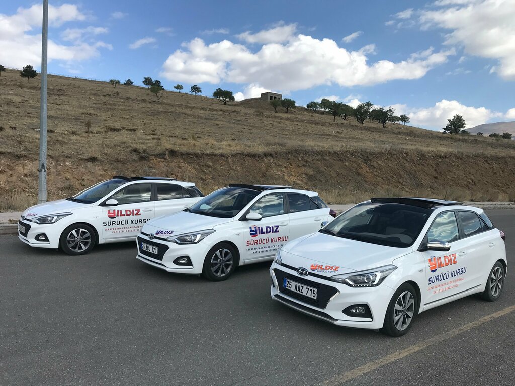 Educational center Erzurum Yildiz Heavy Equipment Operator Course Training Track, Erzurum, photo