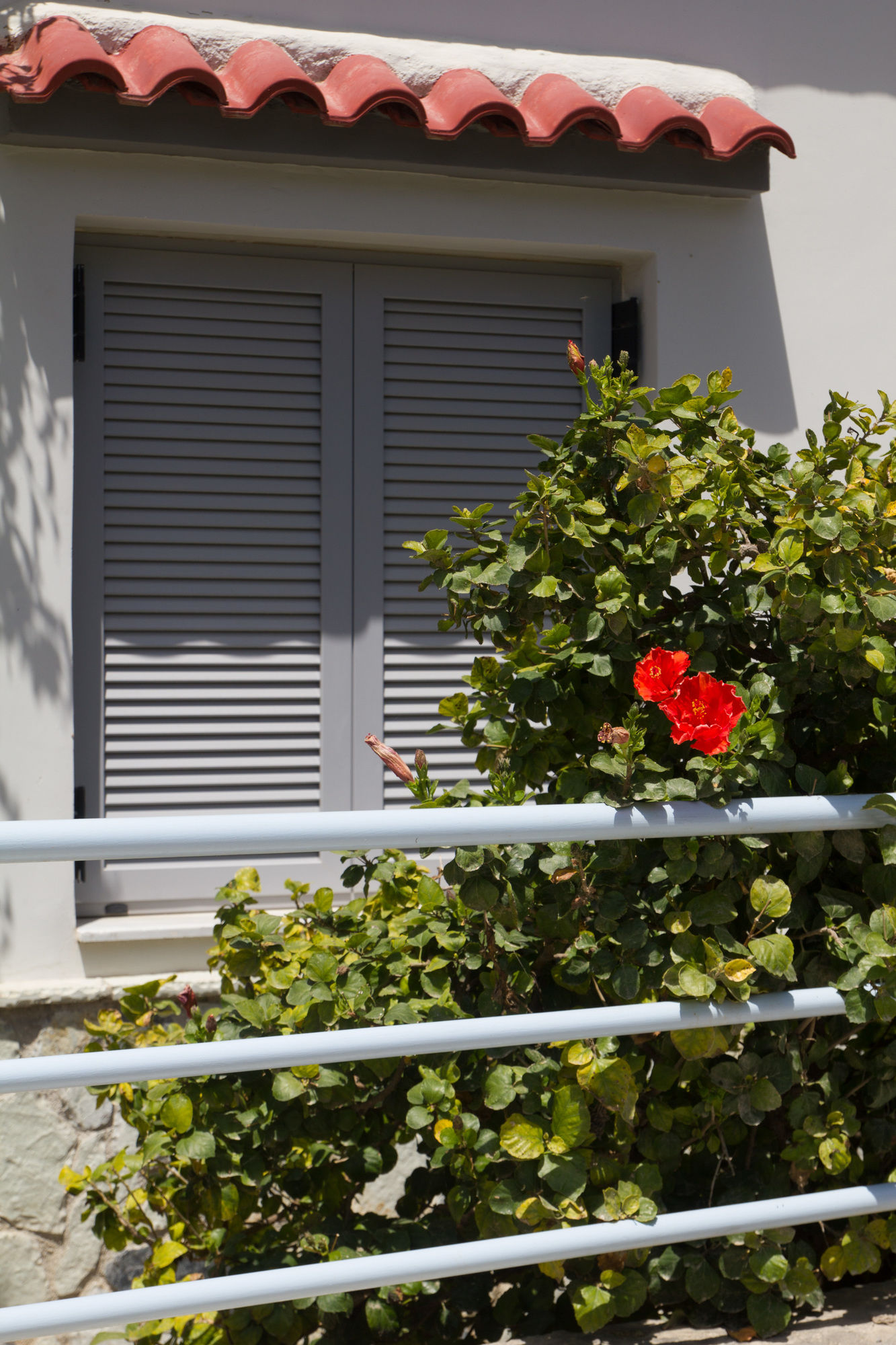 Фото Corinthian Residence