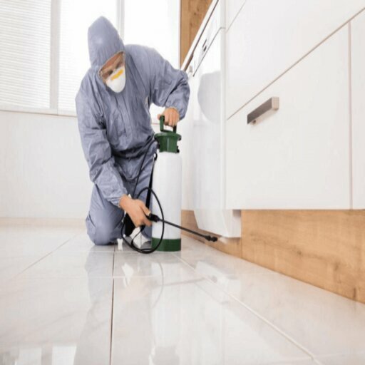 التطهير وإزالة الطفيليات والآفات Istanbul Europe Pest Control ، اسطنبول، صورة